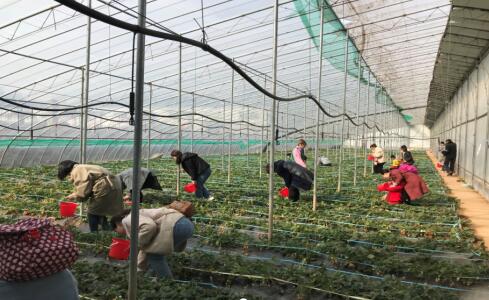 恒峰g22·(中国游)最新官方网站