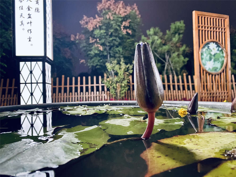 恒峰g22·(中国游)最新官方网站